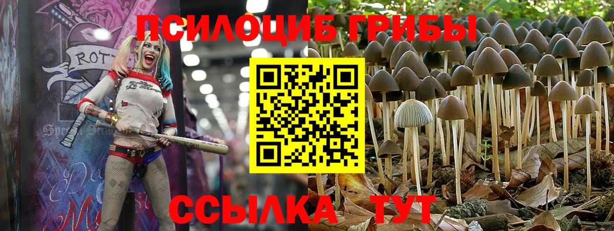Псилоцибиновые грибы Psilocybe  дарнет шоп  Кизляр  Вход с VPN 