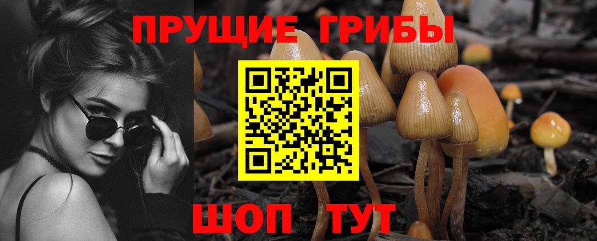 Псилоцибиновые грибы мицелий Кизляр