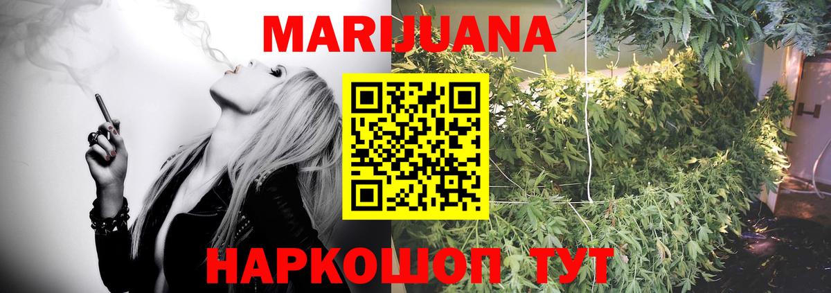 Канабис планчик Кизляр